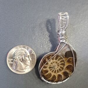 Wire Wrapped Ammonite Pendant